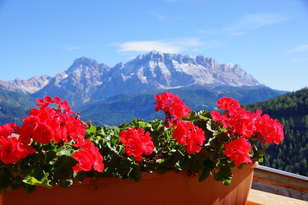 Chalet Frapes San Martino in Badia Εξωτερικό φωτογραφία